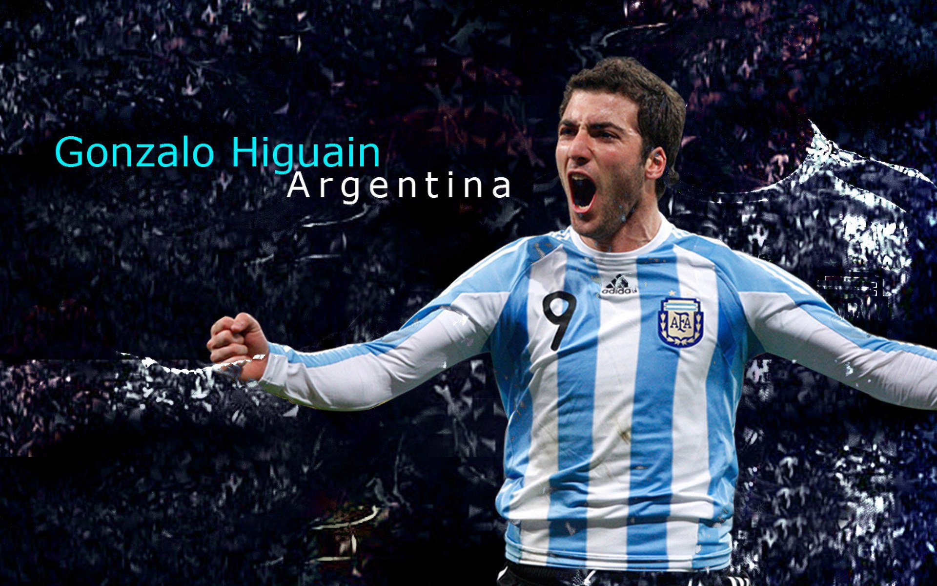 网球比赛引入即时回放系统保障公正，网球比赛现场