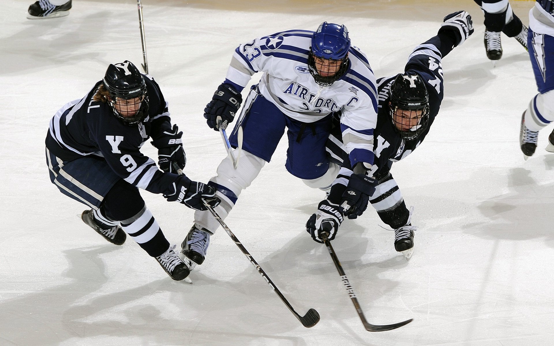 自由泳冲刺中立代表队A展现速度优势，自由泳接力中国队